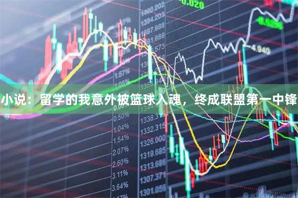 小说：留学的我意外被篮球入魂，终成联盟第一中锋