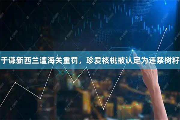 于谦新西兰遭海关重罚，珍爱核桃被认定为违禁树籽