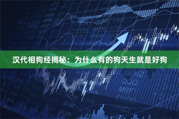 汉代相狗经揭秘：为什么有的狗天生就是好狗