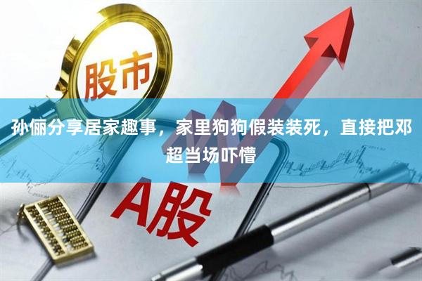 孙俪分享居家趣事，家里狗狗假装装死，直接把邓超当场吓懵